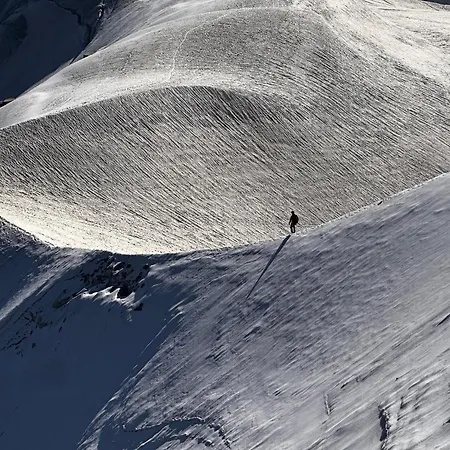 Apartment Aiguille Rose Les Houches